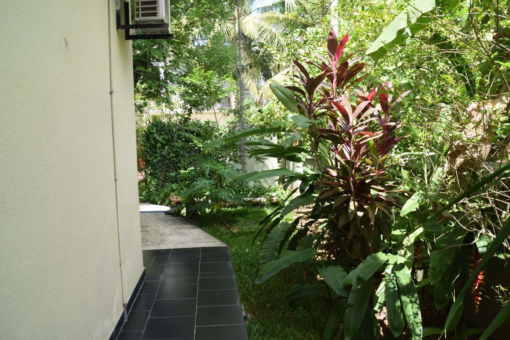 Saffron Guest Inn Polonnaruwa Zewnętrze zdjęcie