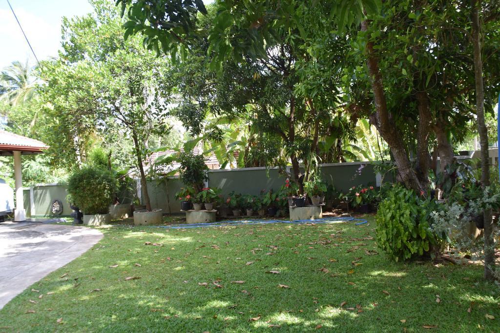 Saffron Guest Inn Polonnaruwa Zewnętrze zdjęcie